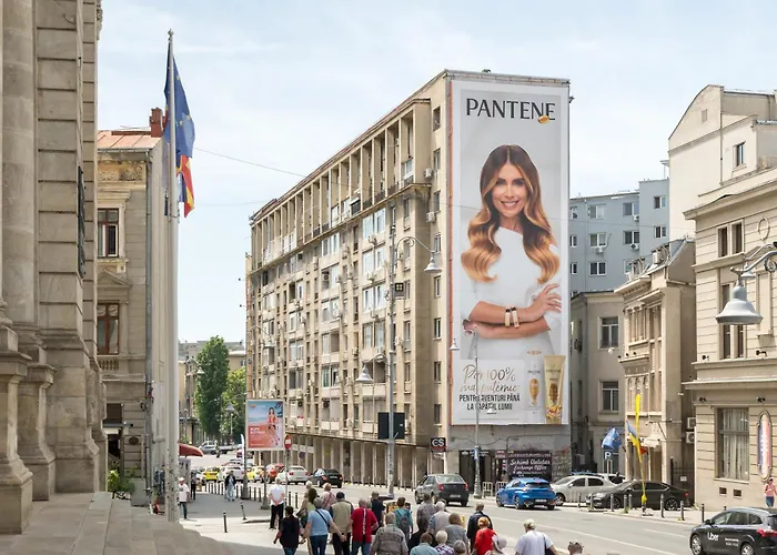 Orangerie Calea Victoriei Апартаменти *